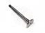 Exhaust Valve 36mm Porsche 914-4, 912E w/ 2.0L