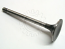 Intake Valve 39.3mm Bus '72-'75 Vanagon '80-'83