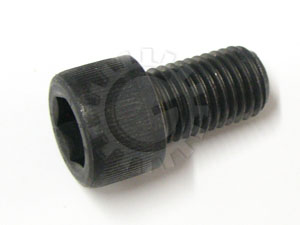 Flex Plate / Flywheel to Crankshaft Screw Bus w/Auto Trans '73-'79, Vanagon w/Auto Trans Aircooled, All Vanagon Gasoline Watercooled
