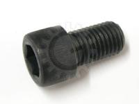 Flex Plate / Flywheel to Crankshaft Screw Bus w/Auto Trans '73-'79, Vanagon w/Auto Trans Aircooled, All Vanagon Gasoline Watercooled