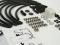 Fuel Hose Kit Fuel Injected Super Beetle '75-'79
