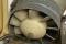 Auxiliary Ventilation Fan Kit - Bus '68-'79