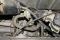 Decel Valve Hose Bus '75-'79 Manual Transmission Reproduction